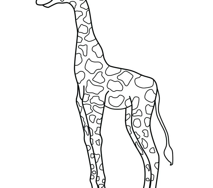 678x600 Online Giraffe To Color About Remodel Coloring Online With Drawing