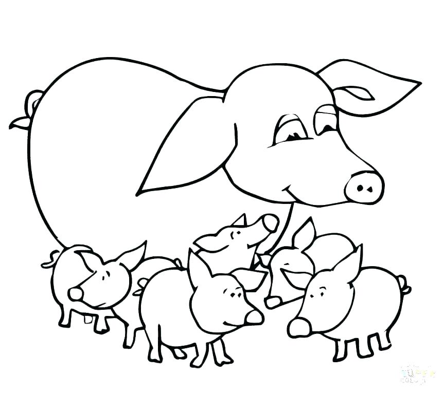 Realistic Guinea Pig Coloring Pages