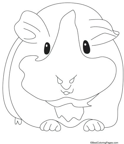 420x486 Guinea Pig Coloring Page Guinea Pig Coloring Pages To Print