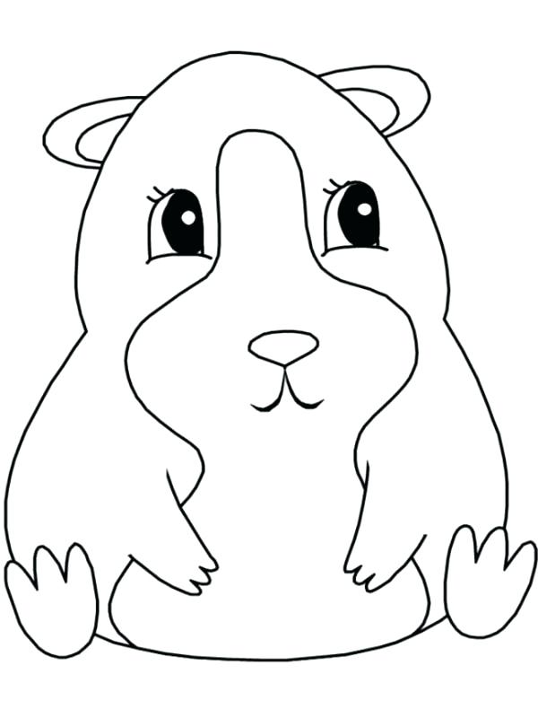 600x800 Guinea Pig Coloring Page Realistic Guinea Pig Coloring Pages