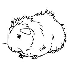 230x230 Printable Guinea Pig Coloring Page. Free Pdf Download