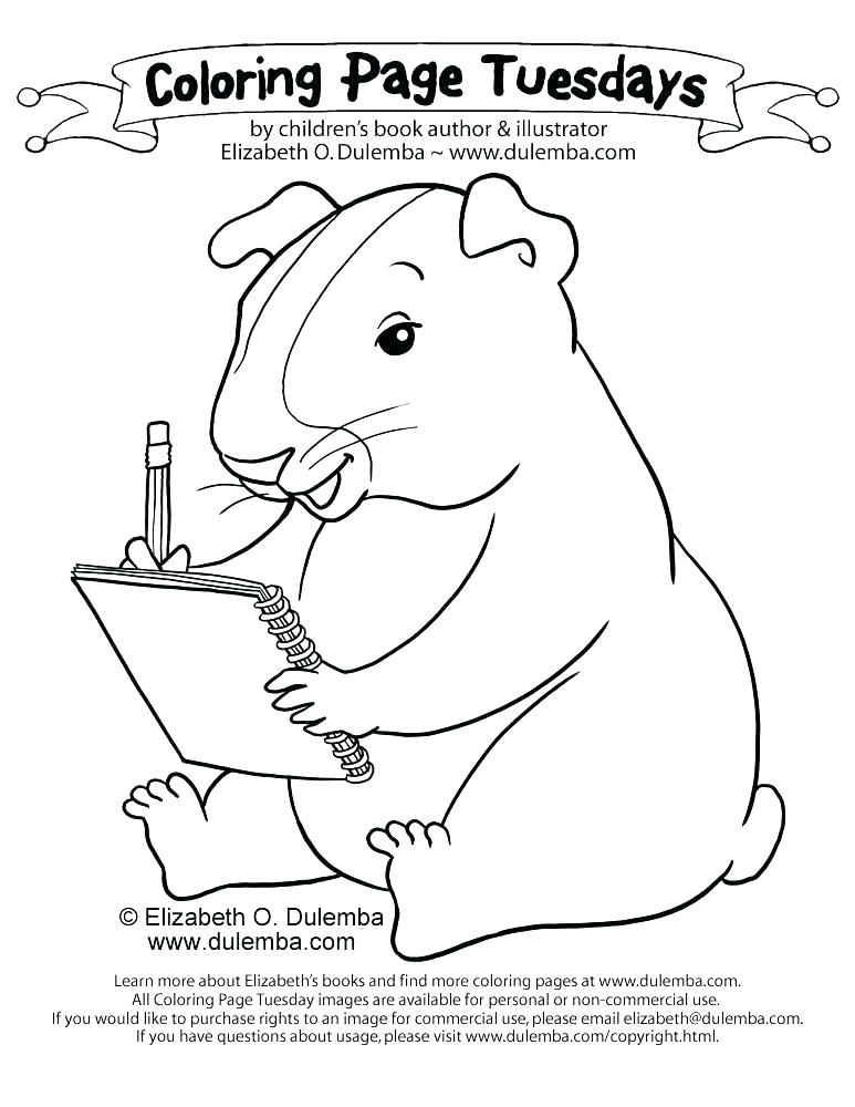 773x1000 Realistic Guinea Pig Coloring Pages Coloring Pages Of Pigs