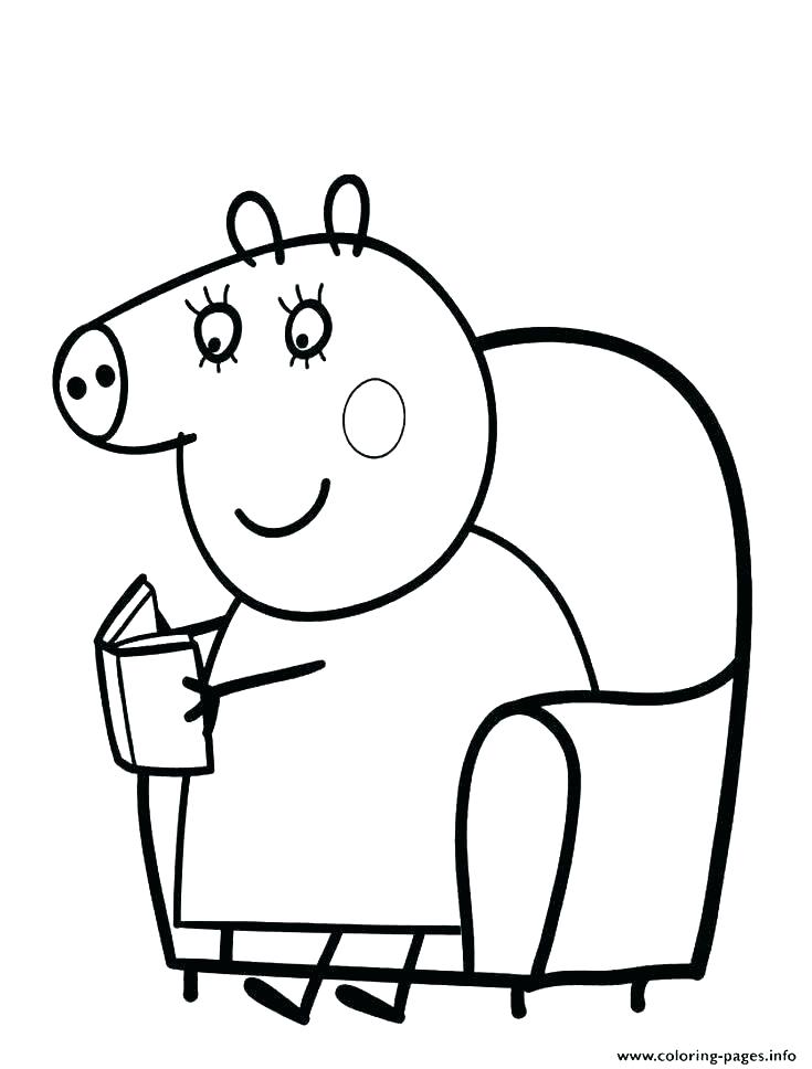 735x968 Cool Guinea Pig Coloring Pages Real Guinea Pig Colouring Pages