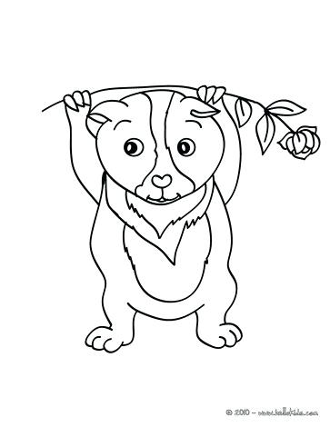 363x470 Guinea Pig Coloring Page Eating Guinea Pig Guinea Pig To Color