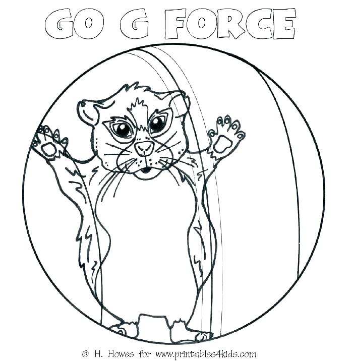 700x716 Hamster Coloring Page Hamster Animal Coloring Pages Download