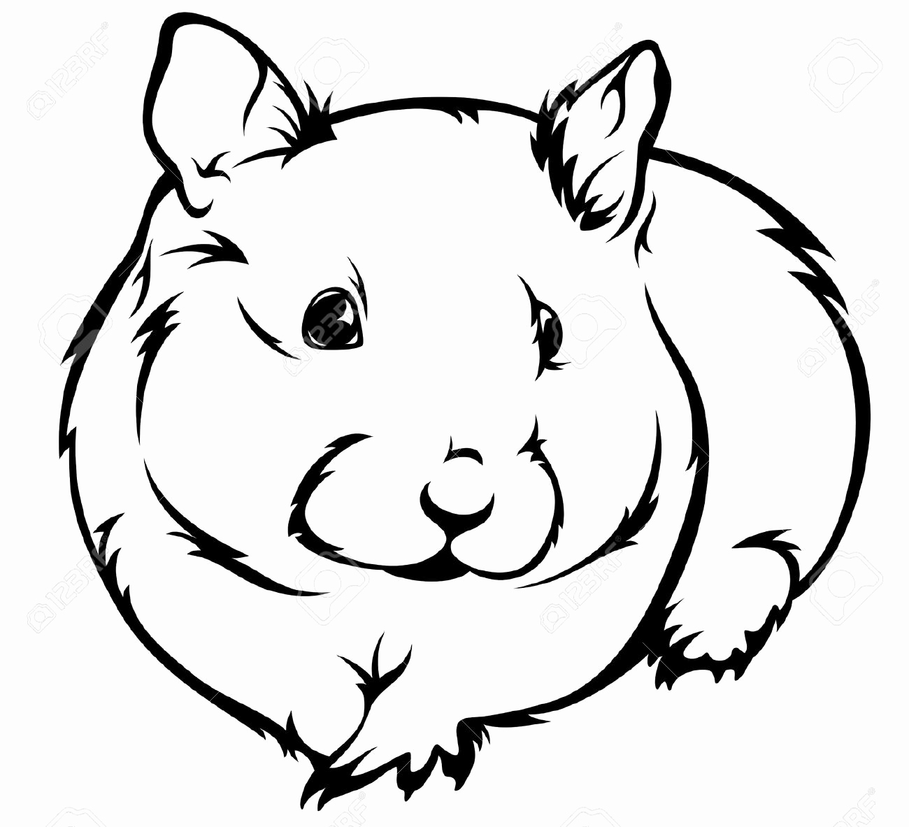 1300x1183 50 Best Of Gallery Of Hamster Coloring Pages
