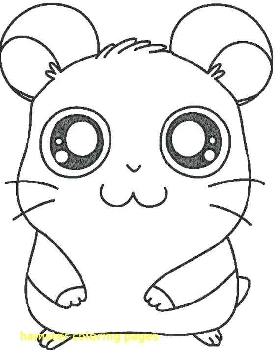 560x740 Hamster Coloring Pages Hamster Coloring Pages With Printable