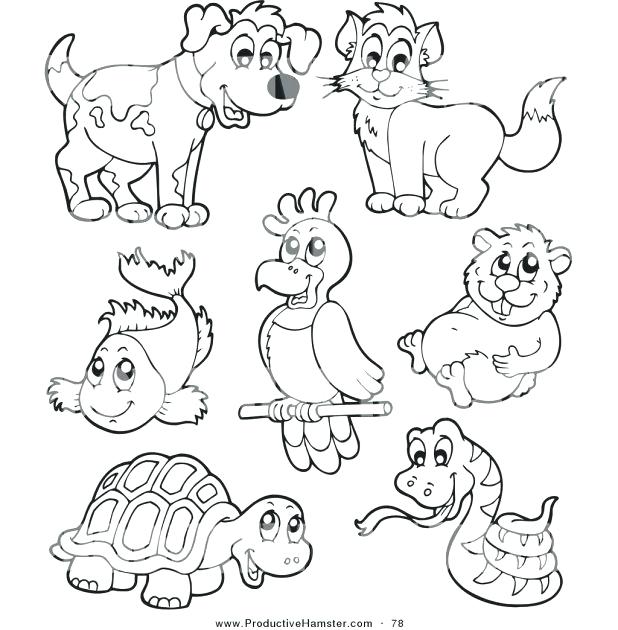 618x630 Hamster Coloring Pages Pet Hamster Coloring Pages Realistic