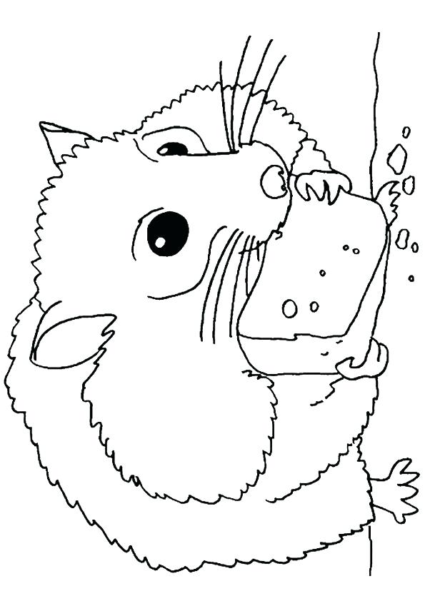 595x842 Realistic Hamster Coloring Pages