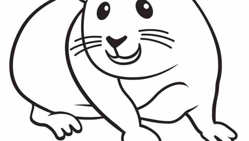 960x544 Coloring For Kids Hamster Pages Itgod Me New Page Awful Cute