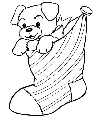 431x500 Cute Baby Hamster Coloring Pages Coloring Pages Hamster Coloring