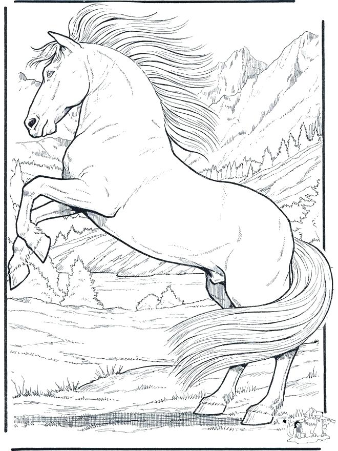 660x880 Horses Coloring Pages Realistic Horse Coloring Pages Horse