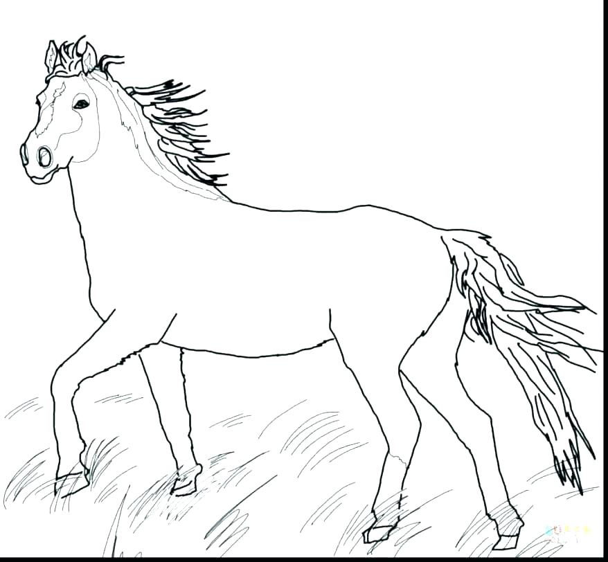 878x812 Printable Horse Pictures To Color Horse Color Pages With Horse