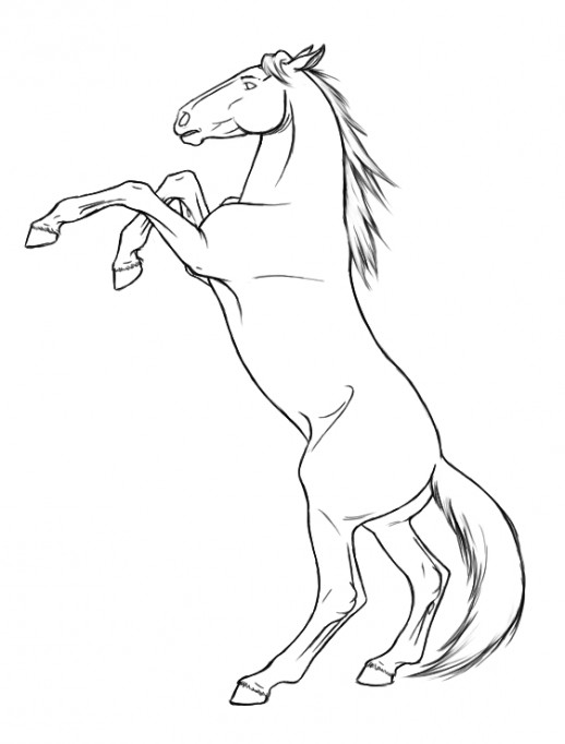 518x682 Realistic Horse Coloring Pages Horse Coloring Pages For Free 22501