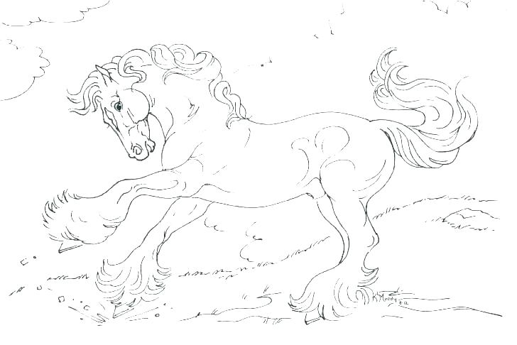 728x486 Realistic Horse Coloring Pages Horse Realistic Horse Head Coloring