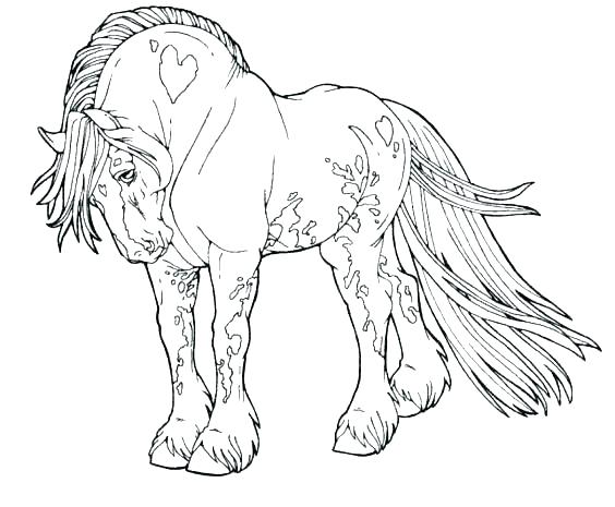564x465 Coloring Pages Horse Coloring Pages Horses Realistic Horse