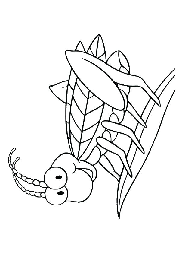 595x842 Insect Coloring Page Grasshopper Coloring Page Insects Pages Cool