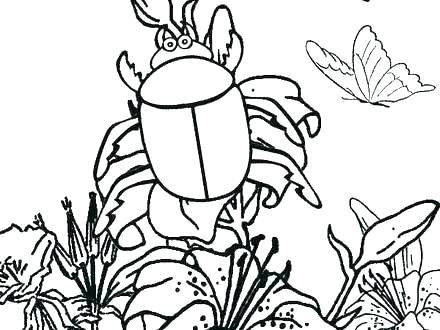 440x330 Insect Coloring Pages