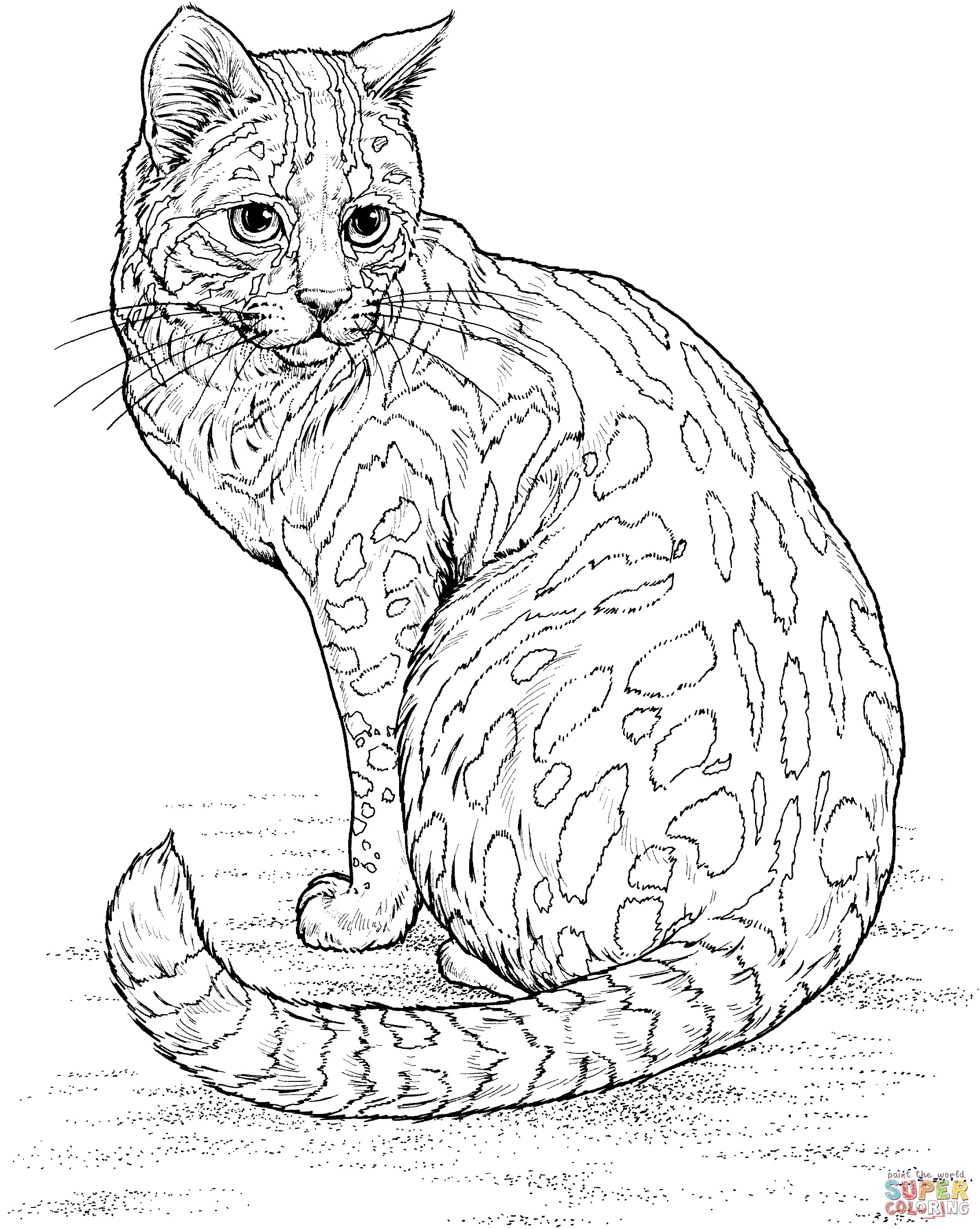 2139x2681 Asombroso Coloring Pages Kitten