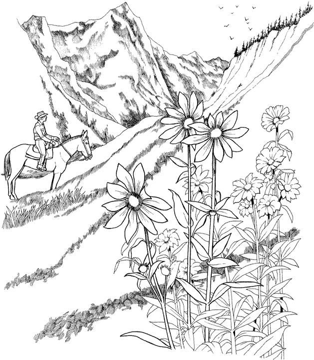 629x720 37 Best Coloring Pages Images On Adult Coloring
