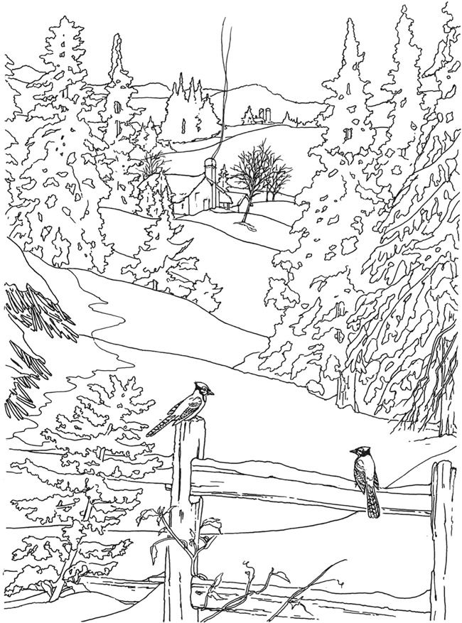 650x877 55 Best Color Scenery Pages Images On Coloring Books