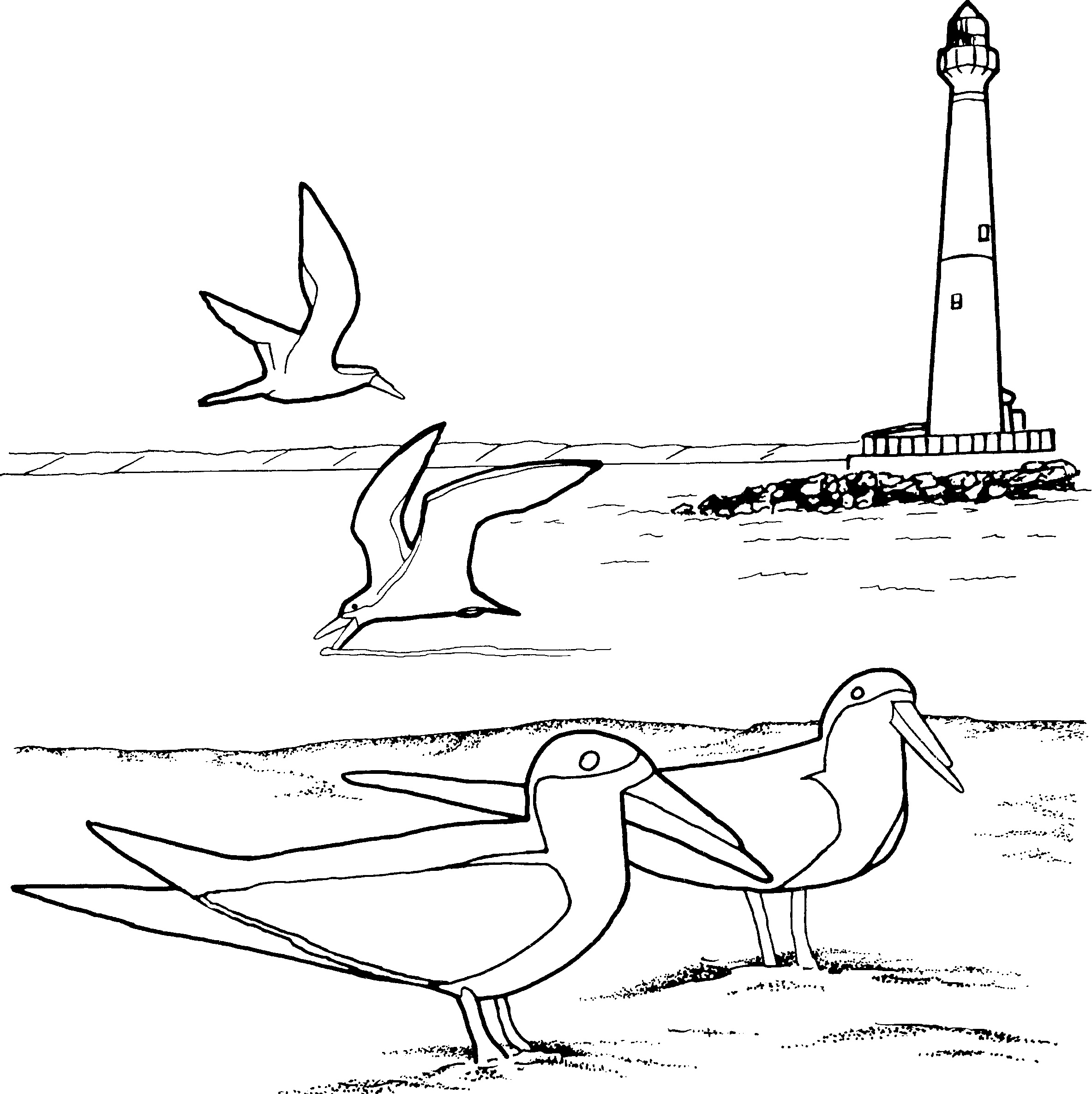 2366x2368 Revolutionary Lighthouse Coloring Pages Realis