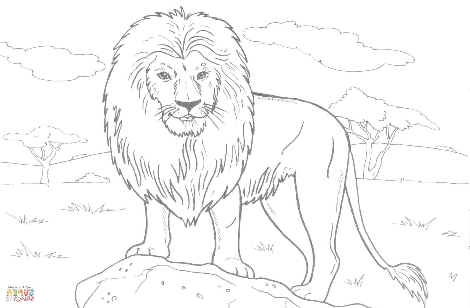 1635x1074 Lion Coloring Pages Realistic Printable 24 Realistic Lion Coloring