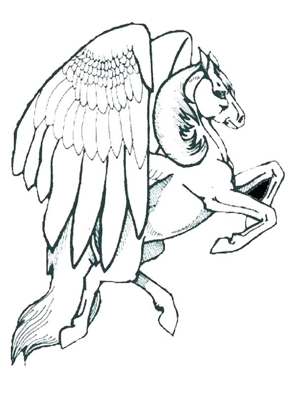 600x799 Coloring Pages Animals Realistic Lion Free Animal P