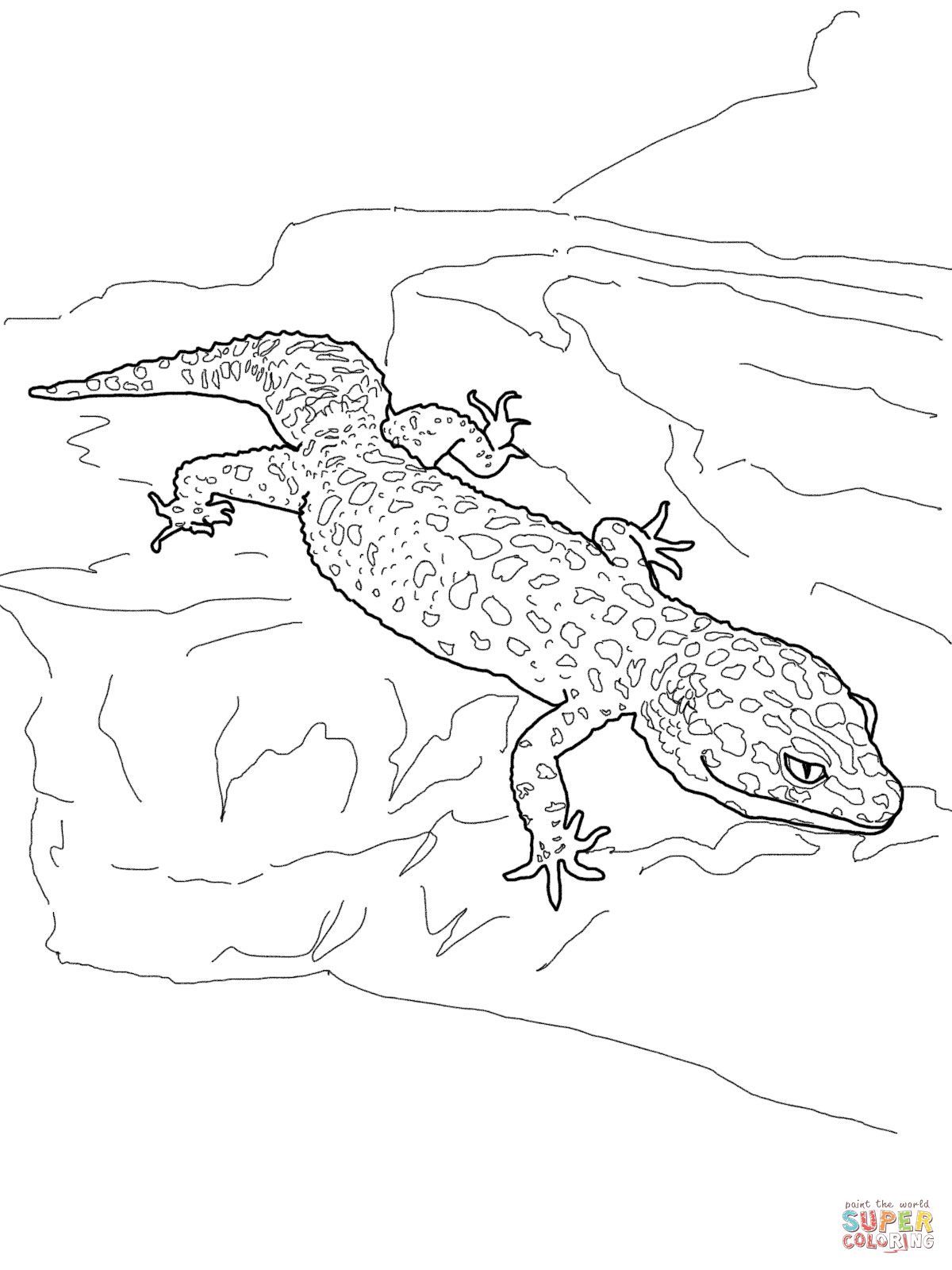 1200x1600 Leopard Gecko Coloring Page Gecko