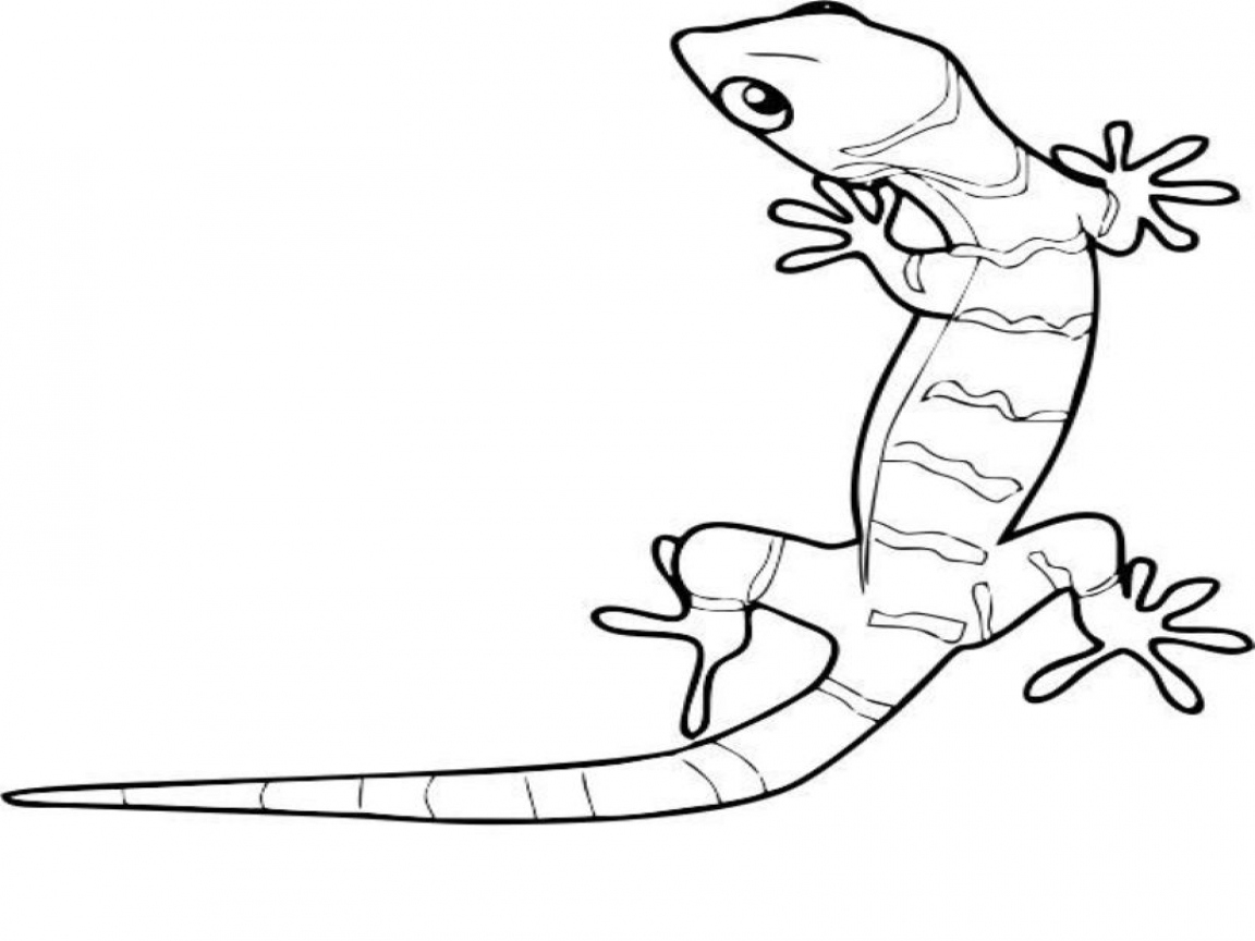 1152x864 Lizard Coloring Pages New Anole Coloring Pages Coloring Pages