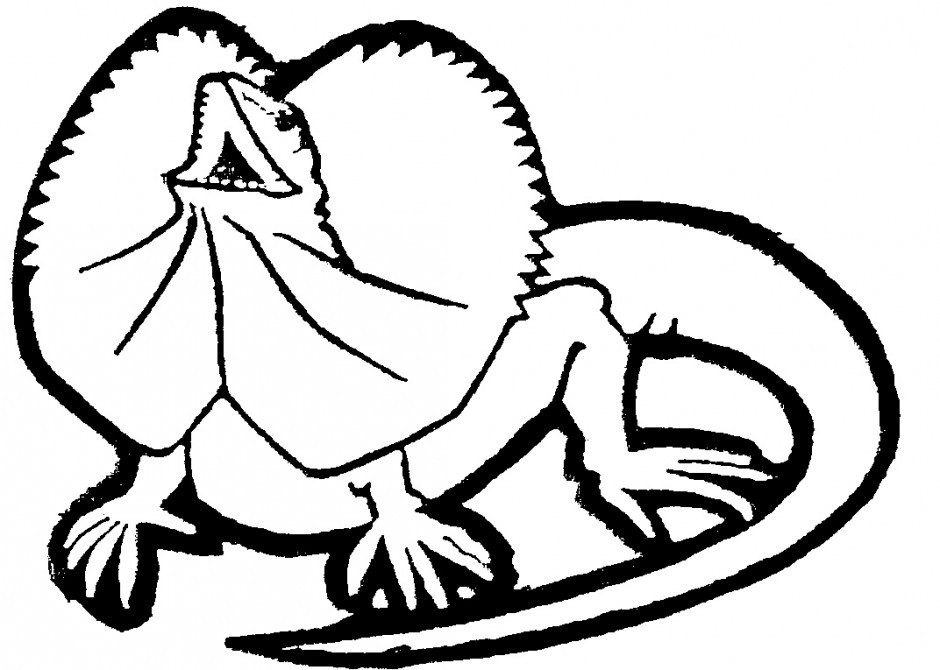 940x670 Realistic Lizard Coloring Pages Free Coloring Pages
