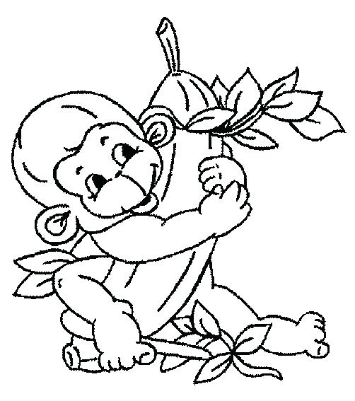 502x567 Cute Monkey Coloring Pages Monkey Coloring Pages Printable Monkey