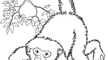 355x200 Fnaf Baby Coloring Pages Printable Coloring For Kids 2018
