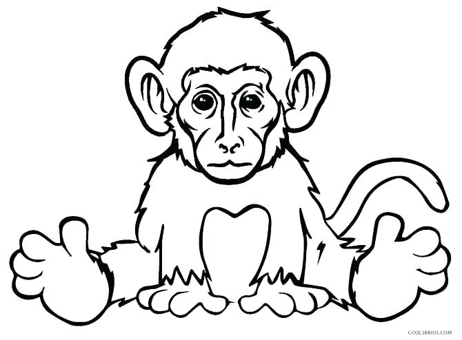 670x494 Baby Monkey Coloring Pages Monkey Coloring Pages Printable
