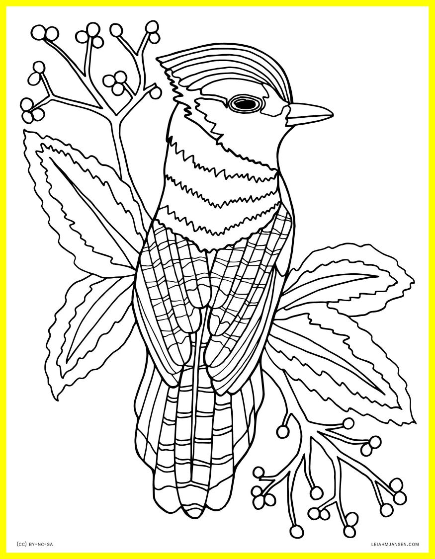 875x1125 Realistic Nature Coloring Pages