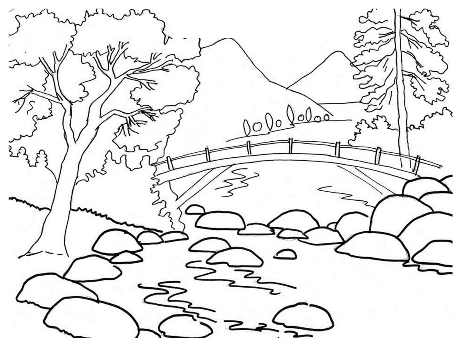 1592x1200 Realistic Nature Coloring Pages In For Adults