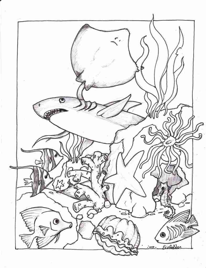 785x1018 I Spy Numbers Or Sight Words Free Printable Ocean Coloring Pages