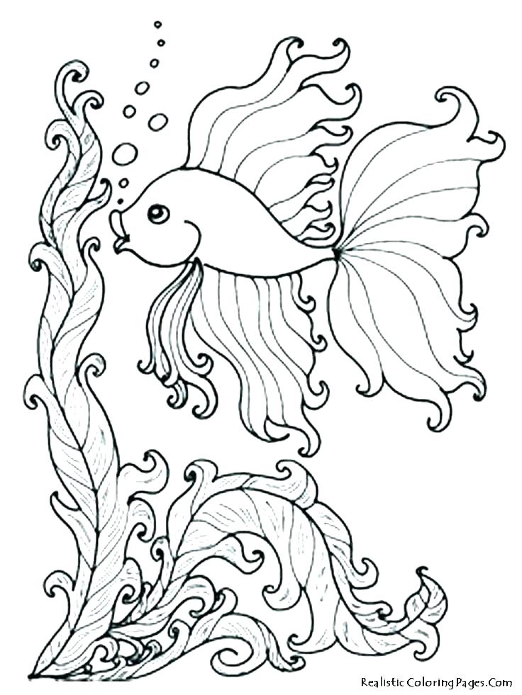 736x981 Ocean Color Pages Ocean Coloring Page Ocean Color Pages Ocean