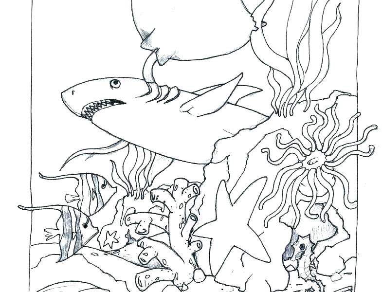 785x600 Underwater Coloring Page