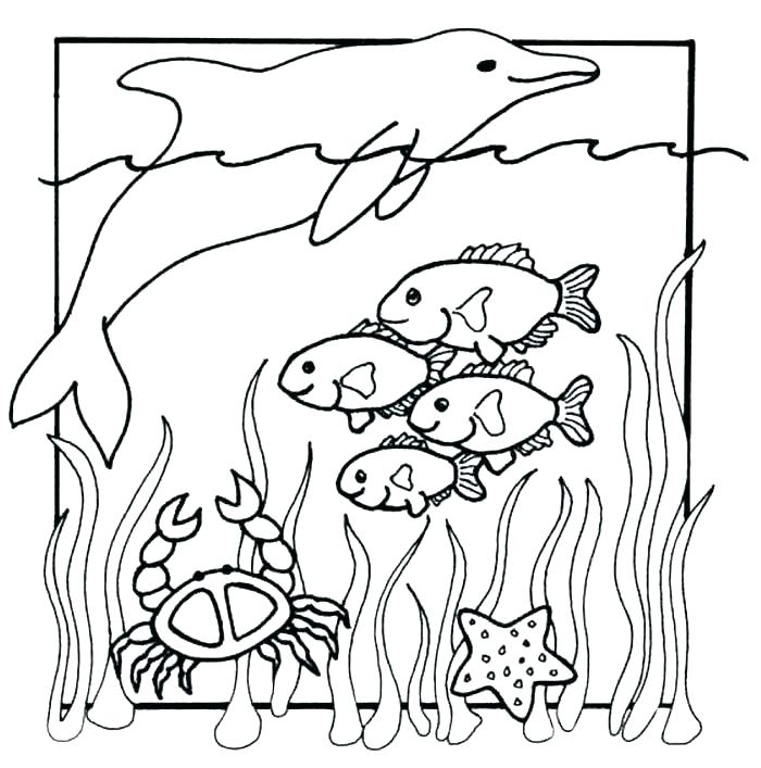 700x707 Coloring Pages Sea Animals Sea Life Coloring Pages Coloring Pages