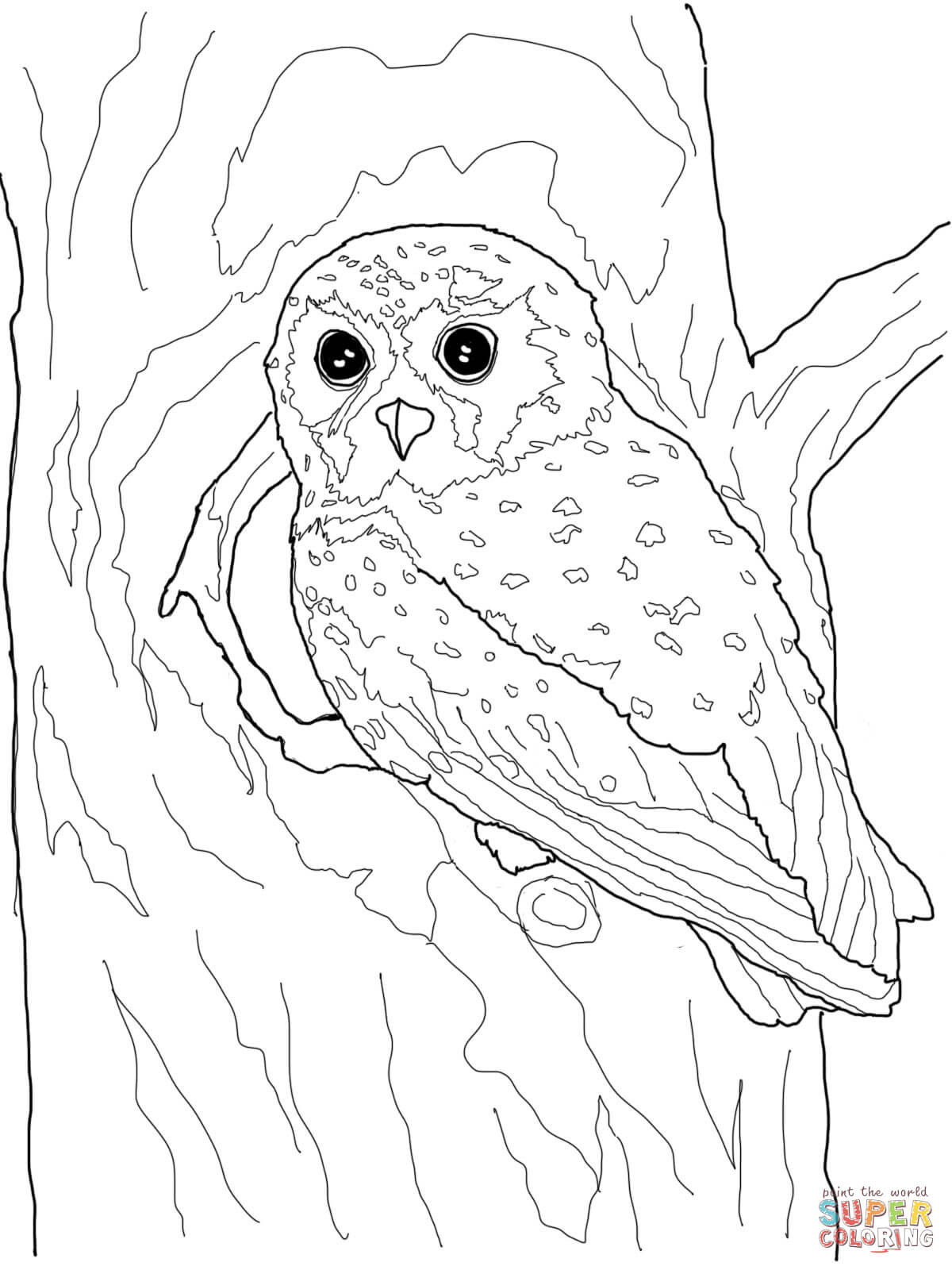 1200x1600 Owls Coloring Pages Free For Alluring Realistic Owl Wagashiya