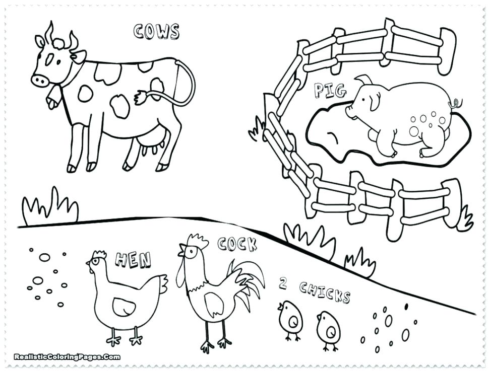 970x737 Realistic Animal Coloring Pages Animal Coloring Pages For Adults