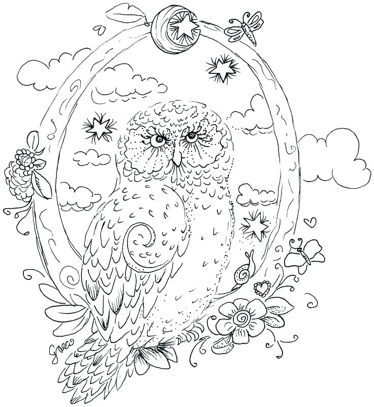 736x800 Realistic Barn Owl Drawing At Free For Personal Hard Owl Color