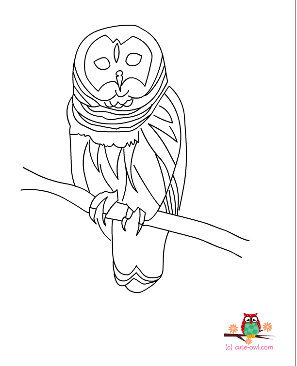 612x756 Free Printable Owl Coloring Pages For Kids