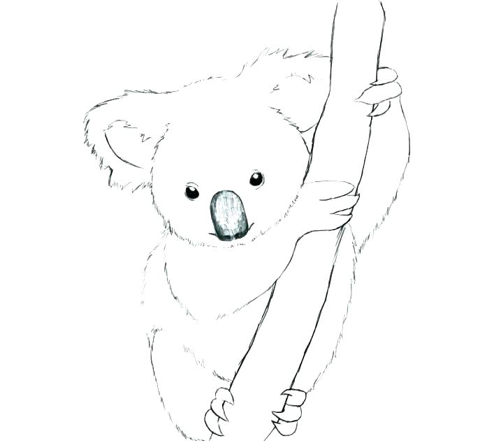 687x630 Panda Bear Coloring Page Baby Panda Coloring Pages Baby Panda