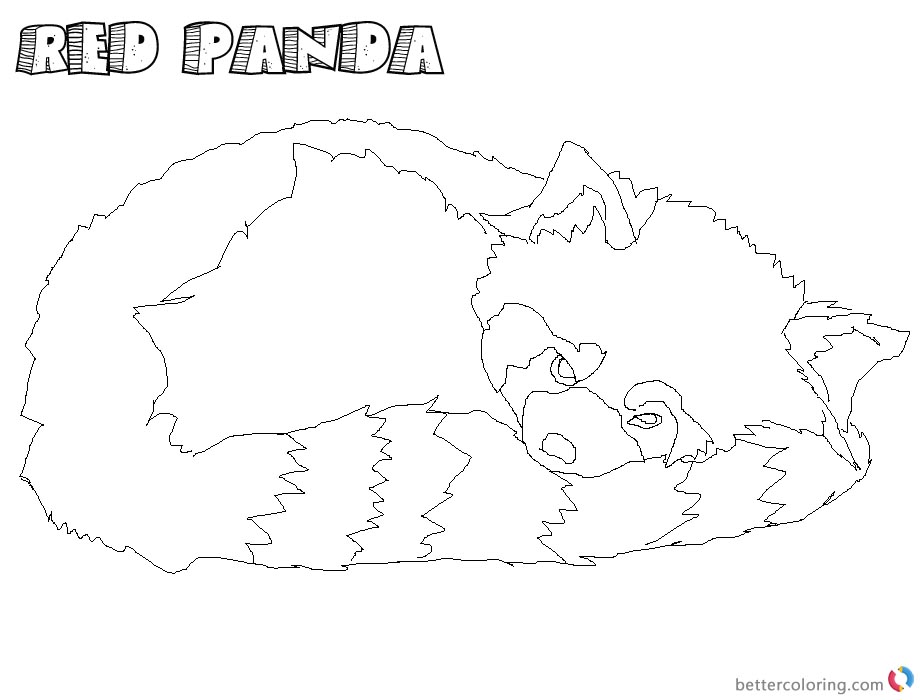920x700 Realistic Red Panda Coloring Pages Sleeping