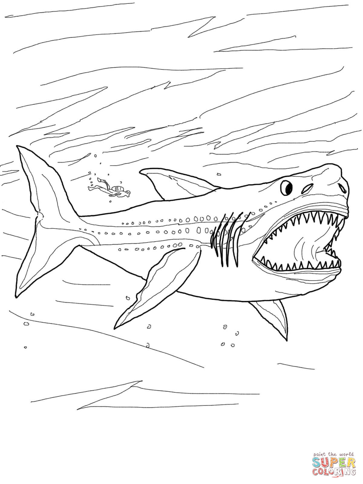 1200x1600 Shrewd Whale Shark Coloring Pages Clipart Pand