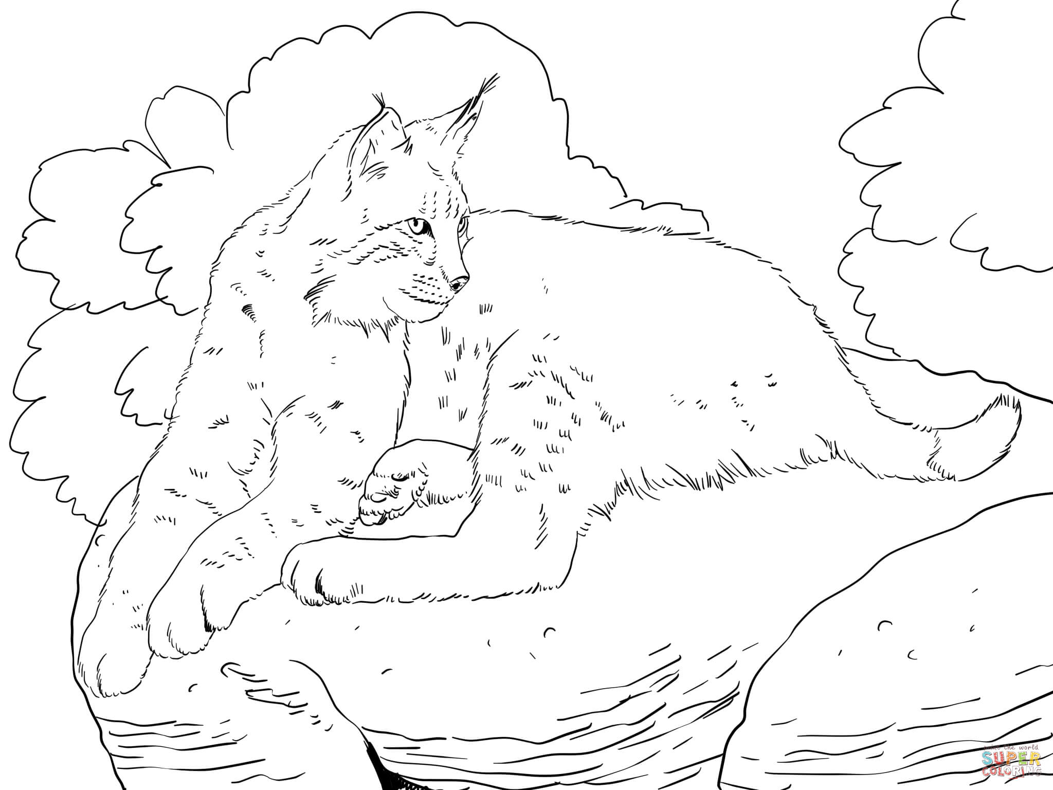 2048x1536 Bobcat Coloring Pages
