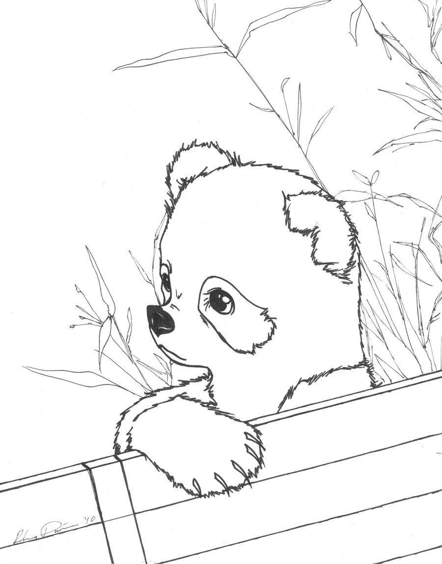 900x1148 Cute Baby Panda Coloring Pages Printable In Realistic
