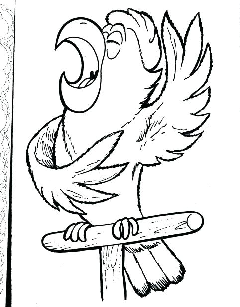 482x616 Parrot Coloring Pages Pirates Coloring Pages Parrot Coloring Page
